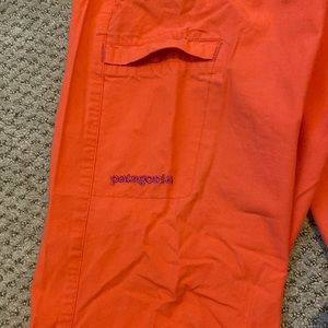 Patagonia Hiking pants